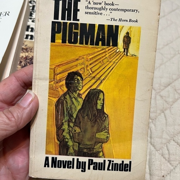 ***Donated***Young readers required reading Catcher in the Rye, Red Badge of - Picture 4 of 4